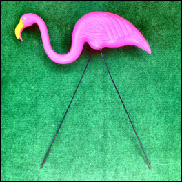 Flamingos