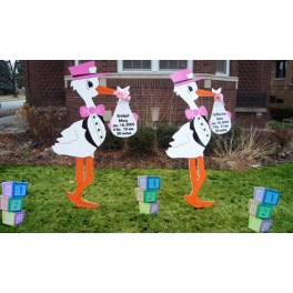 Storks For Twins